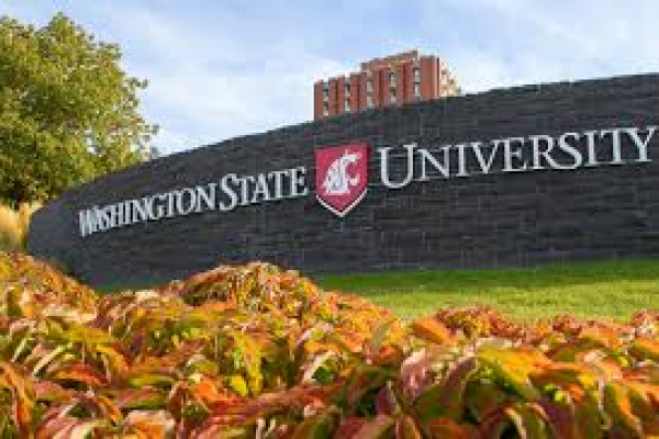 Washington State University